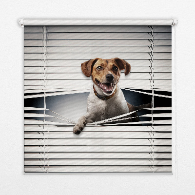 Estor enrollable de tela para perro