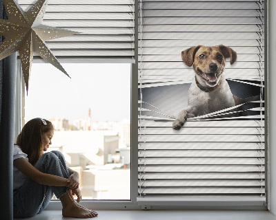Estor enrollable de tela para perro