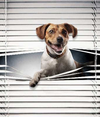 Estor enrollable de tela para perro