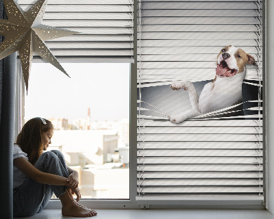 Estor opaco para perro