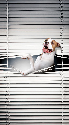 Estor opaco para perro