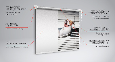Estor opaco para perro