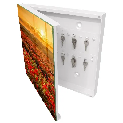 Armario llaves de pared Campos de amapolas