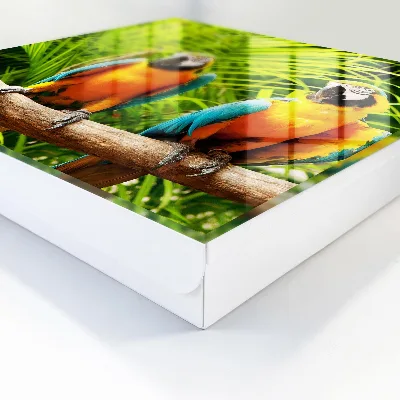Caja de llaves Aves tropicales