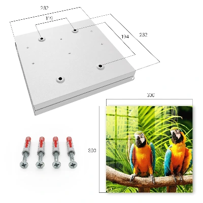 Caja de llaves Aves tropicales