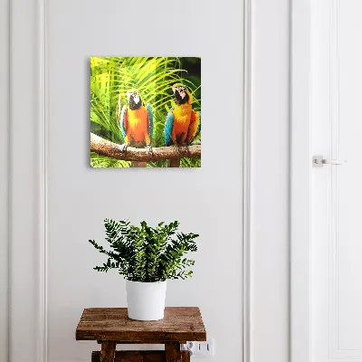 Caja de llaves Aves tropicales