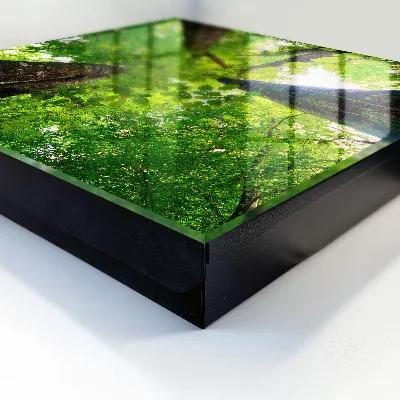 Caja de llaves Cielo del bosque