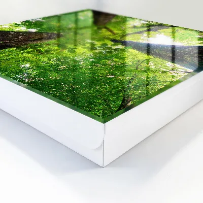 Caja de llaves Cielo del bosque