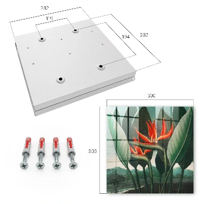 Caja de llaves El exotismo de la naturaleza