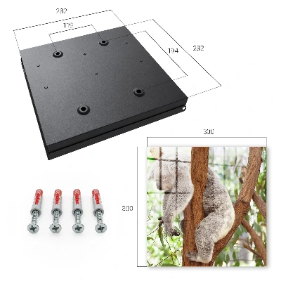 Armario llaves de pared Relajación de koala