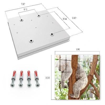 Armario llaves de pared Relajación de koala