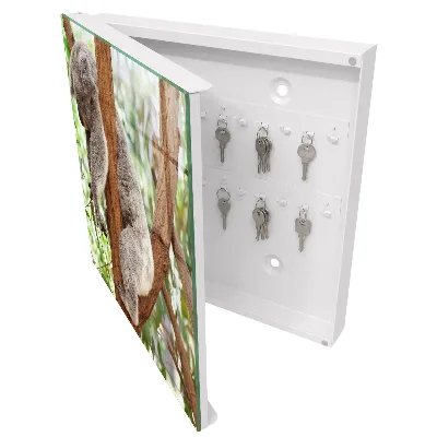 Armario llaves de pared Relajación de koala