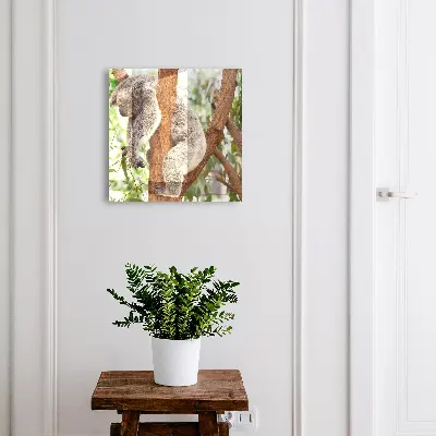 Armario llaves de pared Relajación de koala