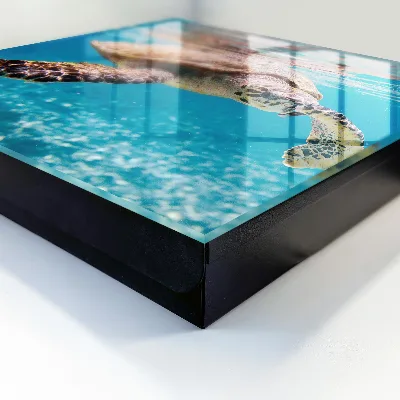 Caja de llaves Mundo submarino