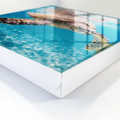 Caja de llaves Mundo submarino