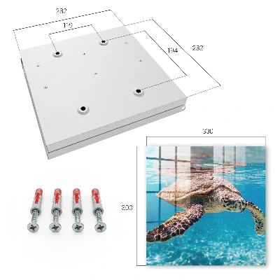 Caja de llaves Mundo submarino