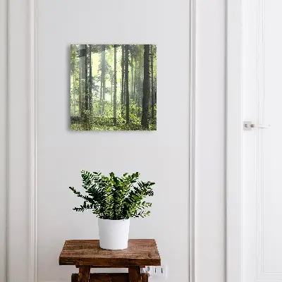 Caja de llaves Bosque verde