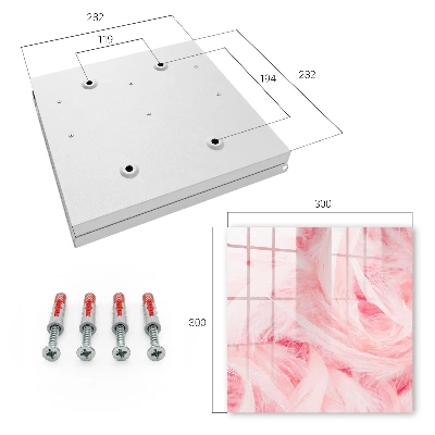 Armario llaves de pared Plumas rosas