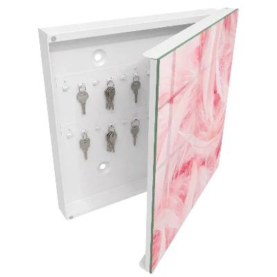Armario llaves de pared Plumas rosas