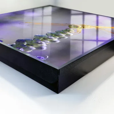 Caja de llaves Libélula sobre una flor