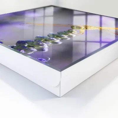 Caja de llaves Libélula sobre una flor