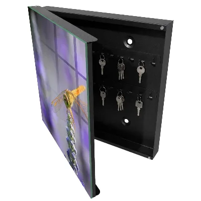 Caja de llaves Libélula sobre una flor