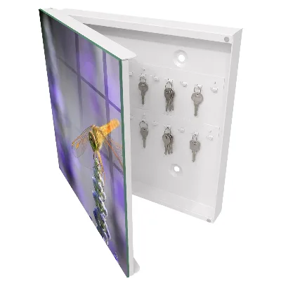Caja de llaves Libélula sobre una flor