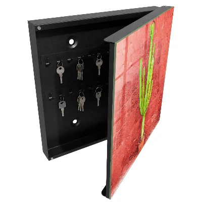 Caja de llaves Cactus verde