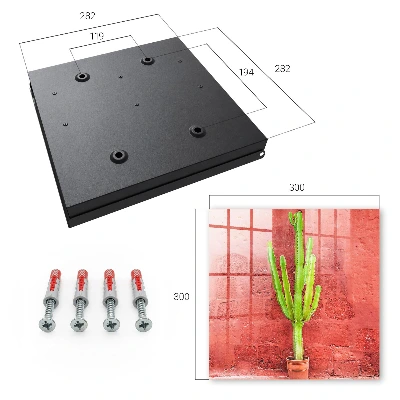 Caja de llaves Cactus verde