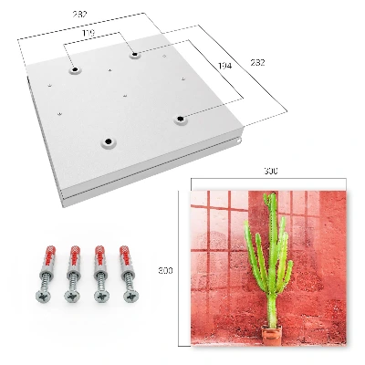 Caja de llaves Cactus verde