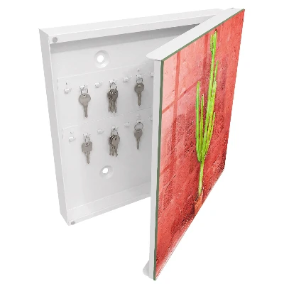 Caja de llaves Cactus verde