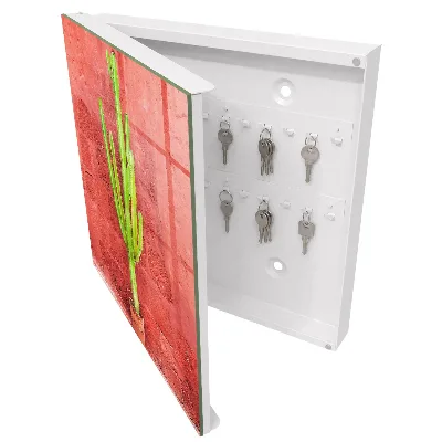 Caja de llaves Cactus verde