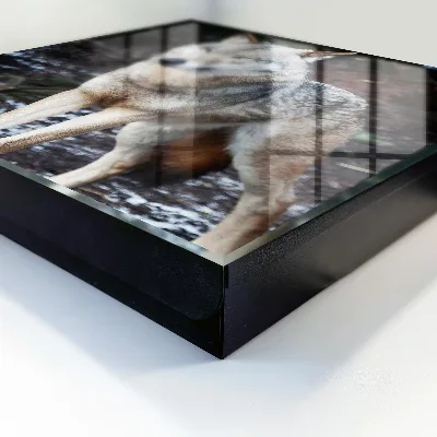 Caja de llaves Lobo en el bosque