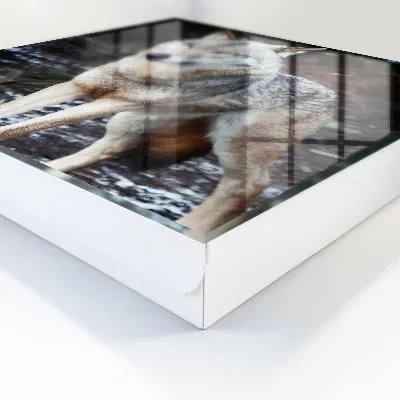 Caja de llaves Lobo en el bosque