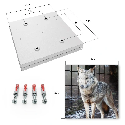 Caja de llaves Lobo en el bosque