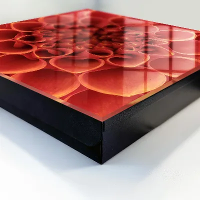Caja de llaves Estampado floral