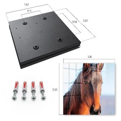 Caja de llaves Retrato de un caballo