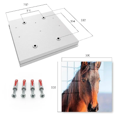 Caja de llaves Retrato de un caballo