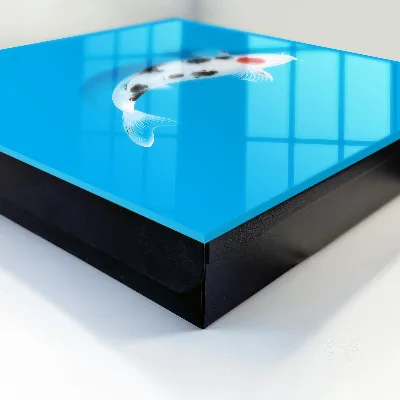 Caja de llaves Peces koi