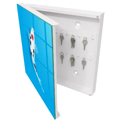 Caja de llaves Peces koi