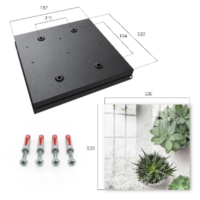 Armario llaves de pared Suculentas verdes