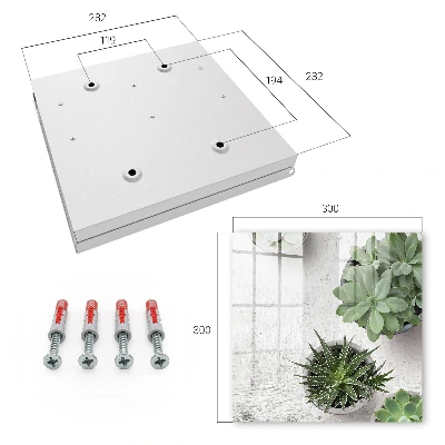 Armario llaves de pared Suculentas verdes