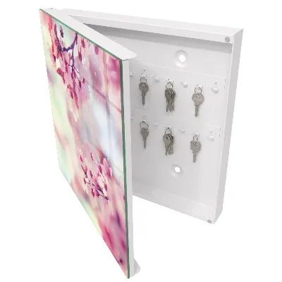 Armario llaves de pared Encanto floral