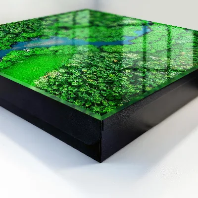 Caja de llaves Bosques verdes