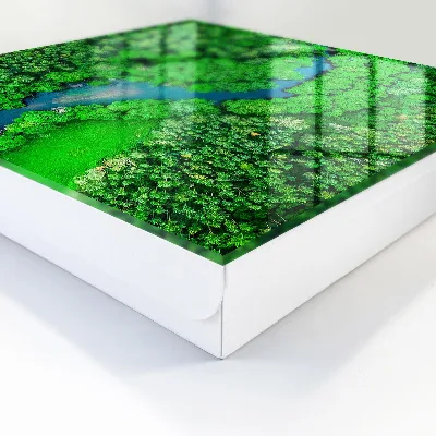 Caja de llaves Bosques verdes