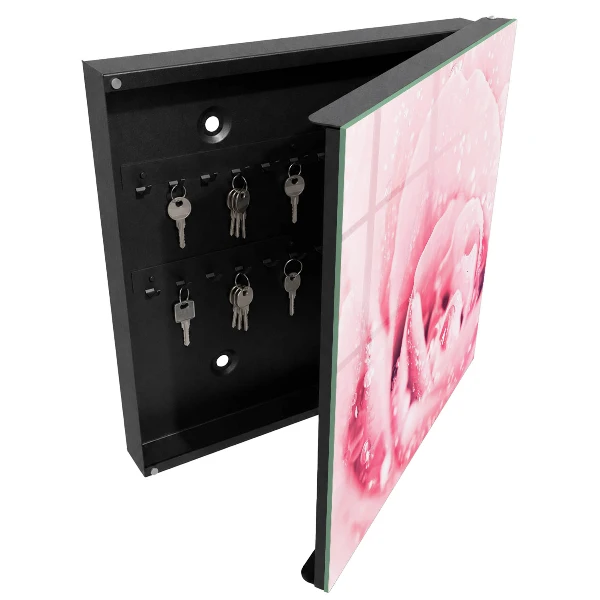 Armario llaves de pared Delicadeza de la rosa