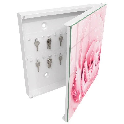 Armario llaves de pared Delicadeza de la rosa