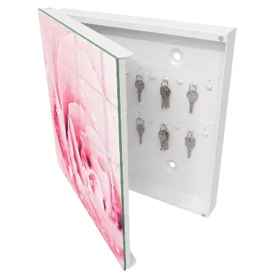 Armario llaves de pared Delicadeza de la rosa