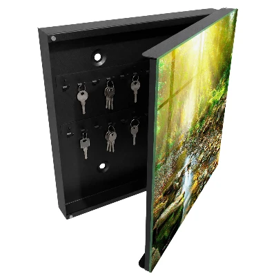 Caja de llaves Arroyo forestal