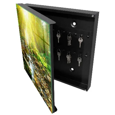 Caja de llaves Arroyo forestal